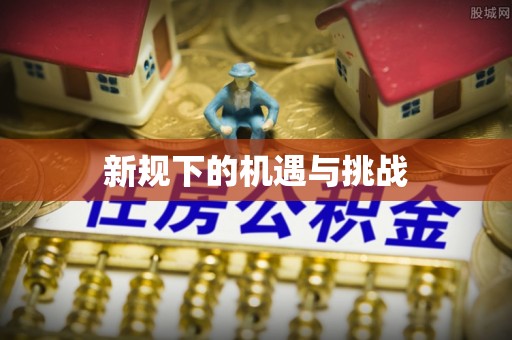 德昌新规下的机遇与挑战