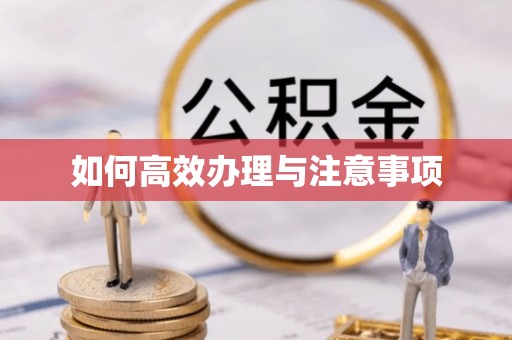 德昌如何高效办理与注意事项