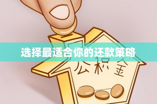 德昌选择最适合你的还款策略