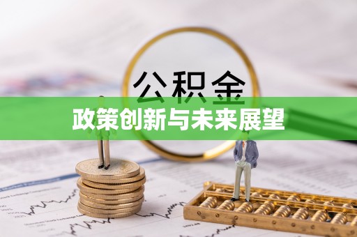 德昌政策创新与未来展望